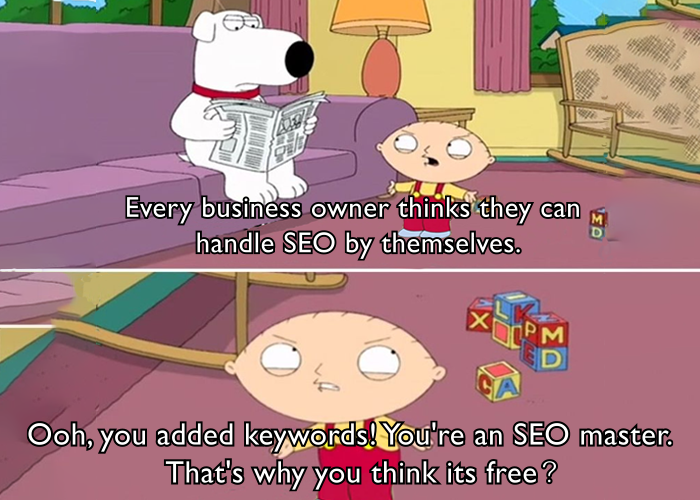 A cartoon dog on a couch with the words, All business owners believe they can do SEO on their own.